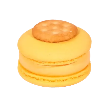 Cheese Macaron